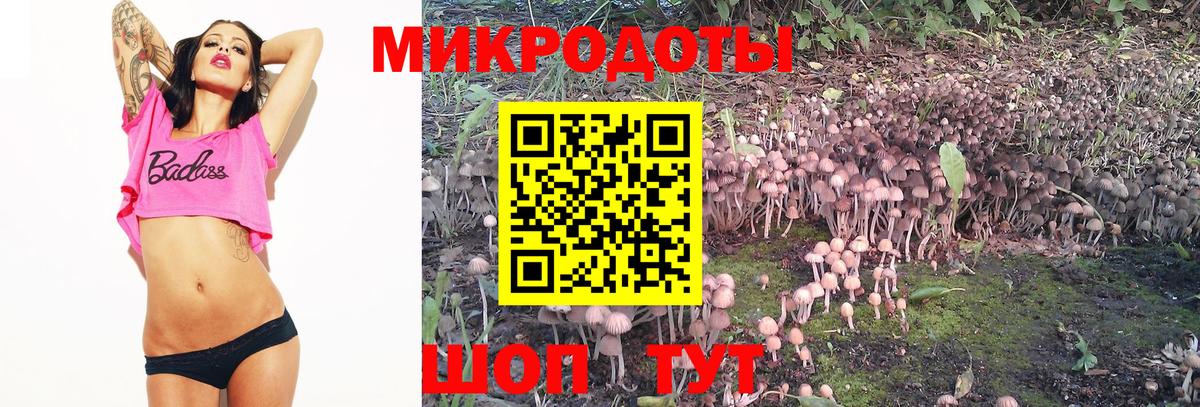 Псилоцибиновые грибы мицелий Красноармейск