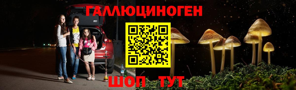 Псилоцибиновые грибы Psilocybine cubensis  Псилоцибиновые грибы мицелий  Вход с VPN  Красноармейск 